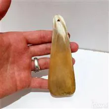 پاشنه