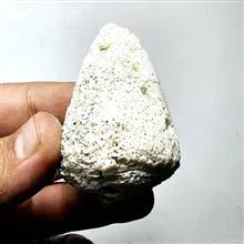 صدف