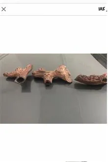 شیر