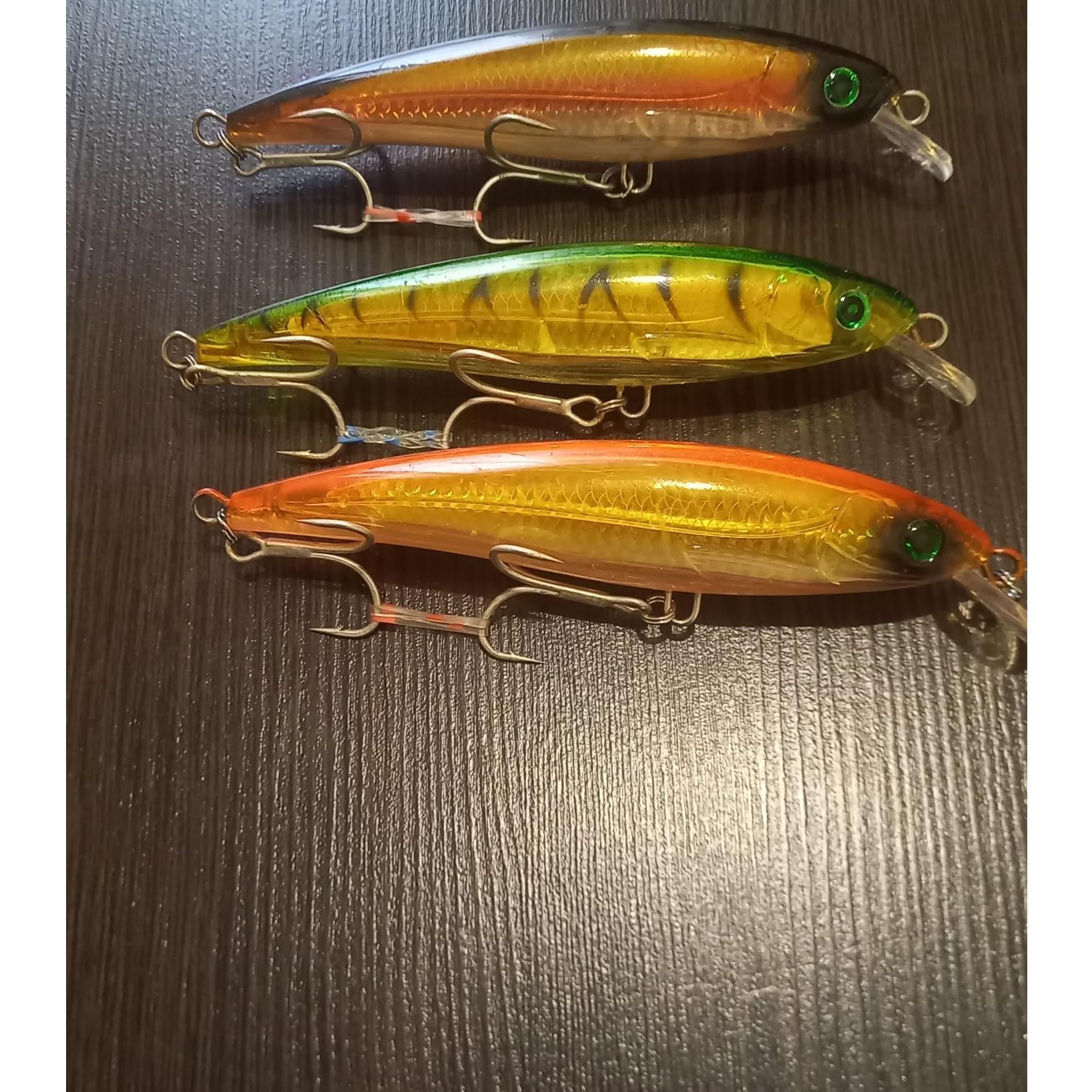 لور ماهیگیری ابشور