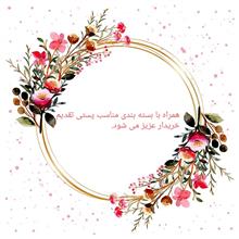نظم