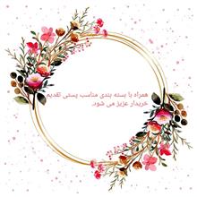 ماژول