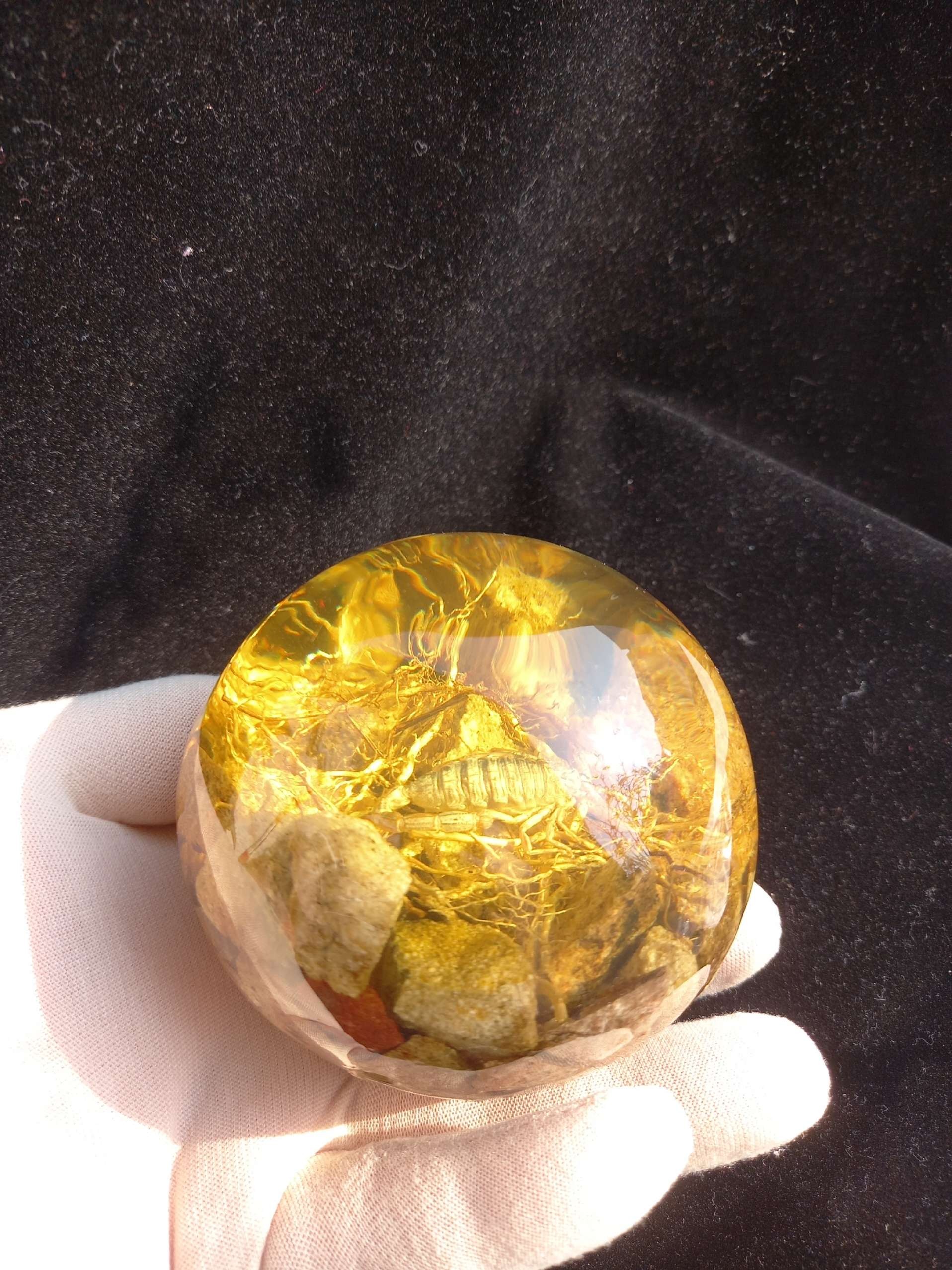 کهربای عقرب سایز بزرگ