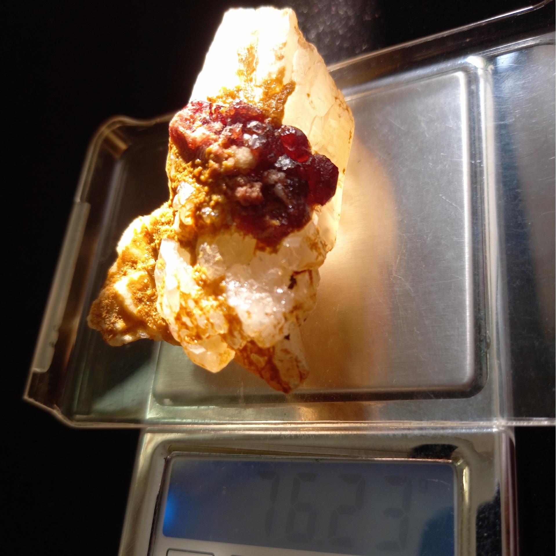 همرشدی گارنت و در