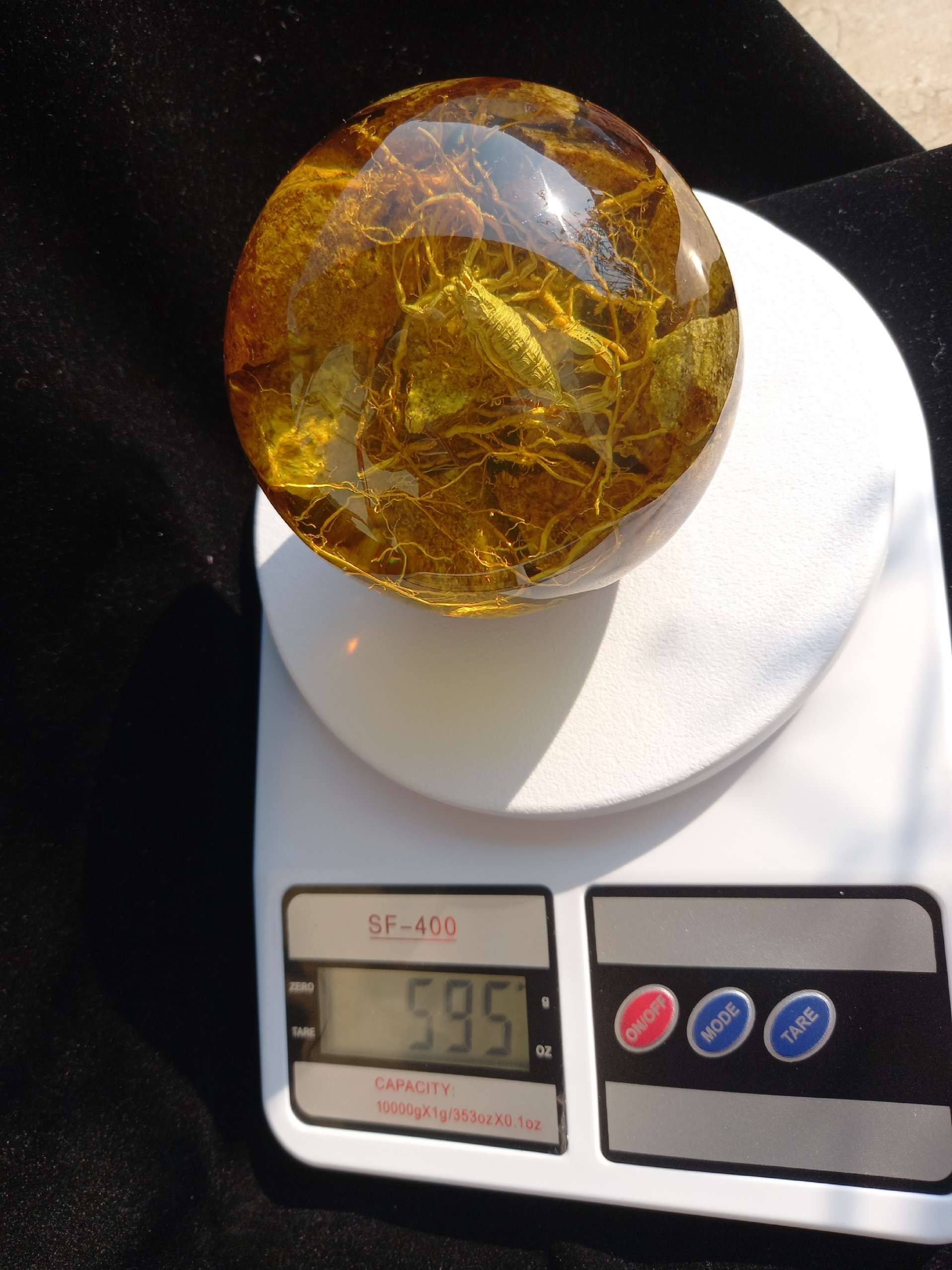 کهربای عقرب سایز بزرگ