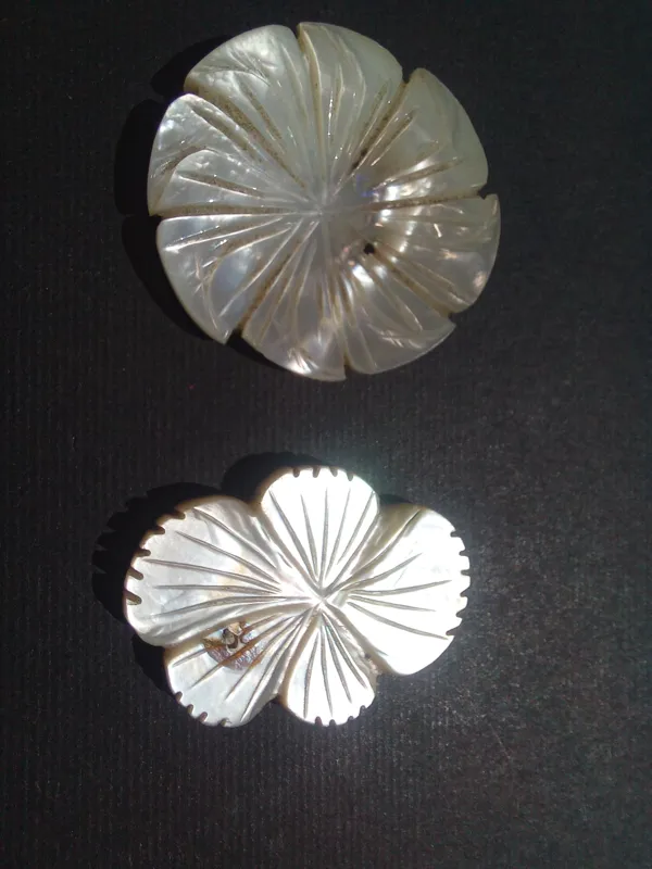 جفت صدف تراش دار طبیعی قدیمی