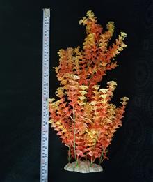 گیاه