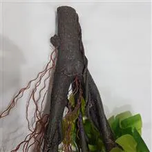 تنه