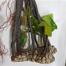 تنه