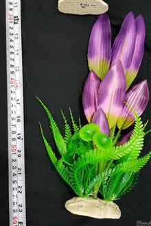 گیاه