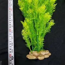 گیاع