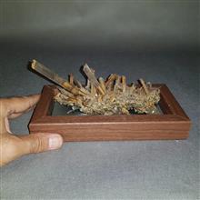 گوهر