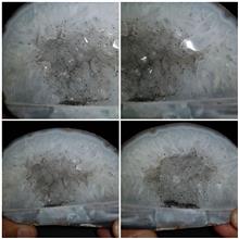 گوهر