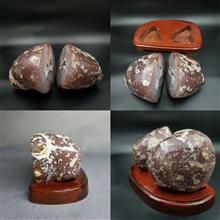 گوهر