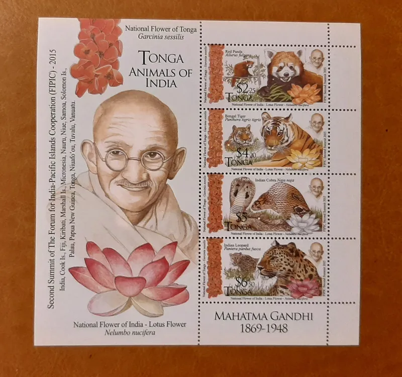 شیت، گاندی، تونگا