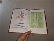 اصطلاحات