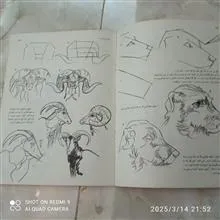 طراحی