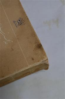 واهمه