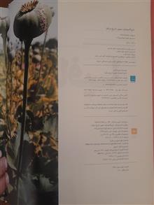 دایرهالمعارف