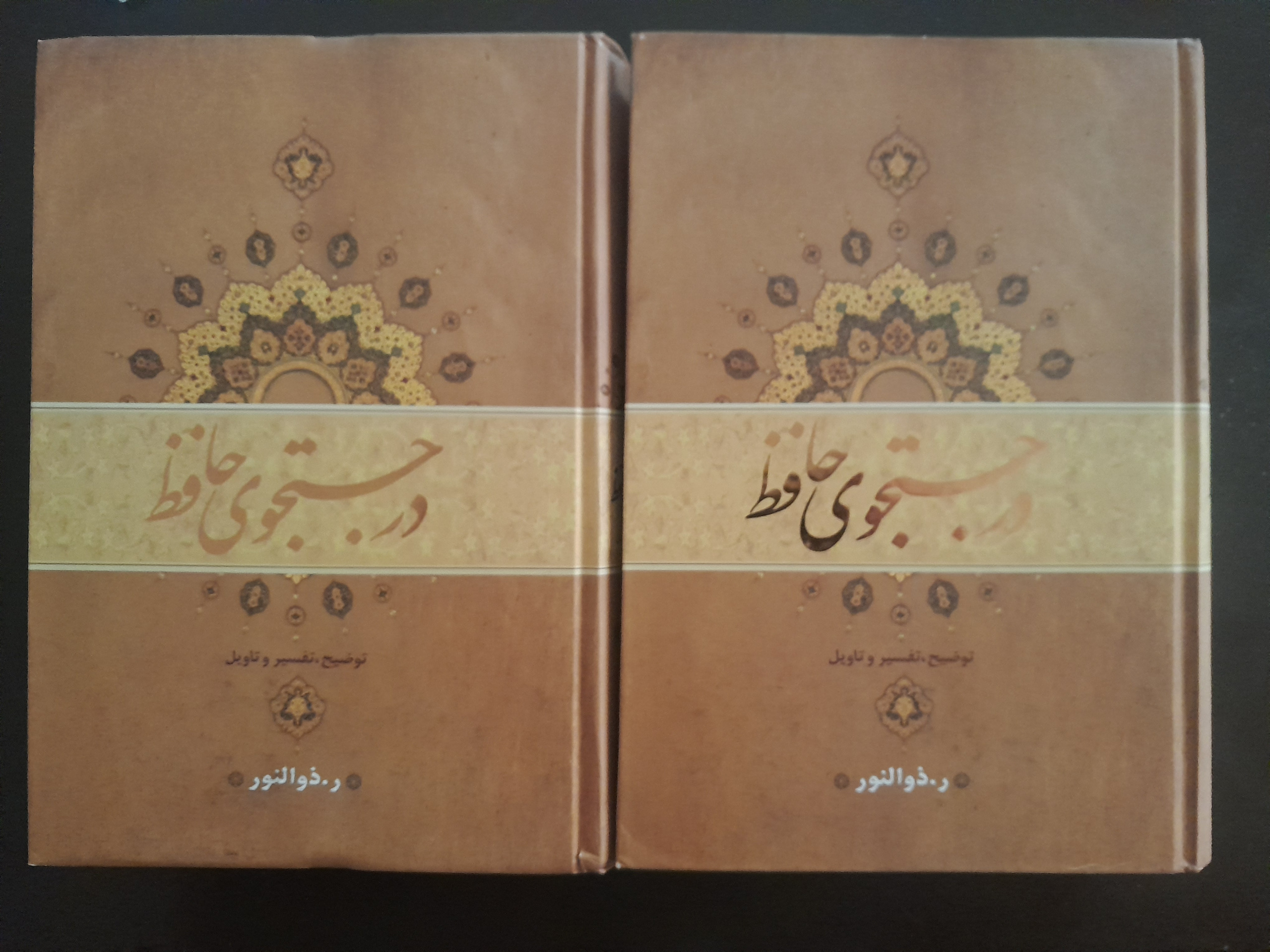 در جستجوی حافظ «دوره 2 جلدی»