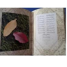 چشمه
