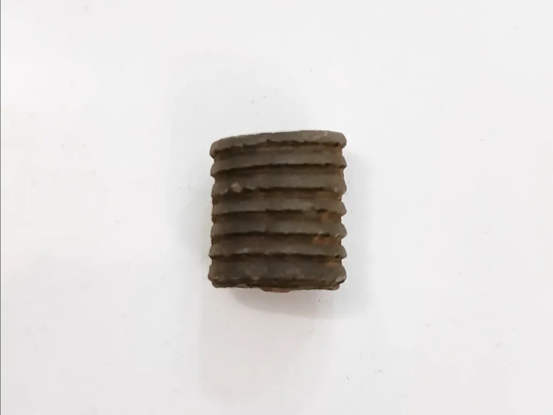 فسیل کرینویید تمام سیاه برجسته و خاص