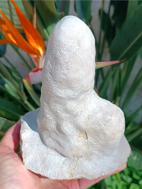 راف آراگونیت معدنی پاک،بی نظیر و کامل