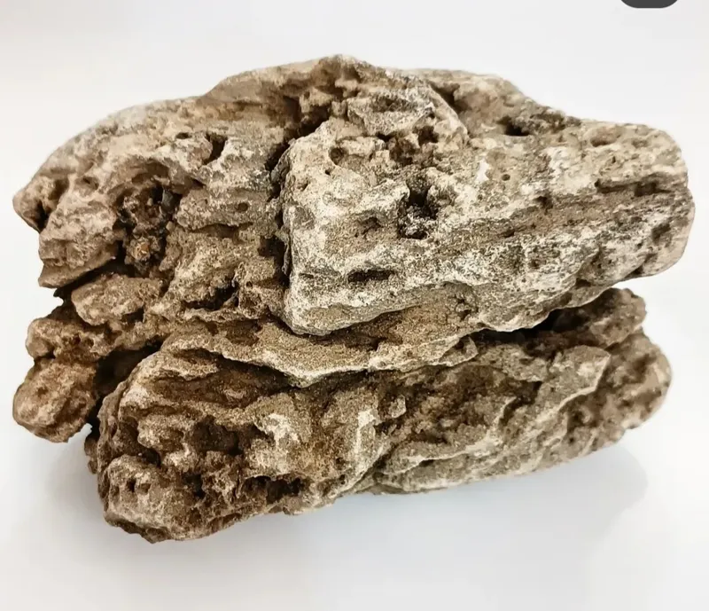 آدر استون یا سنگ پری سوراخ دار و بسیار زیبا