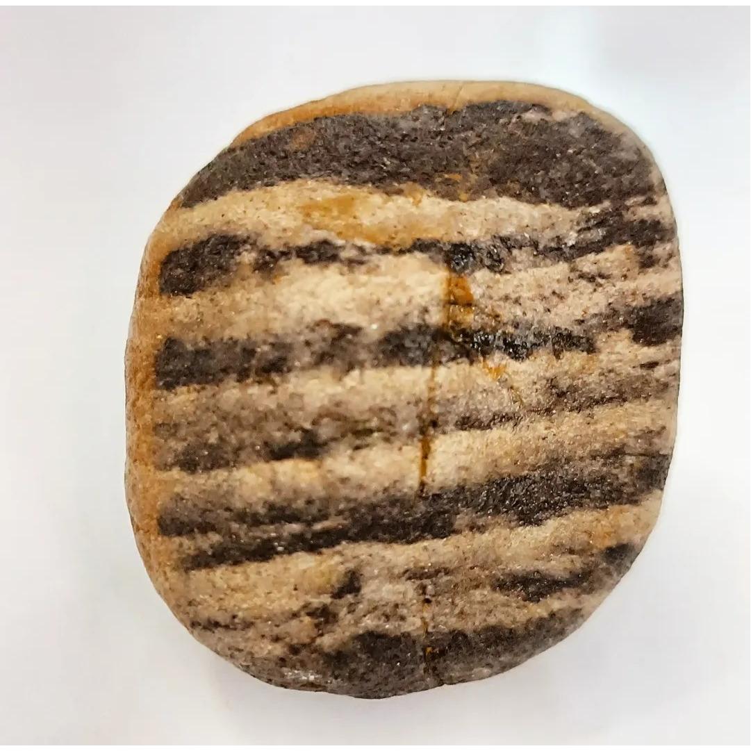 راف گنیس پوست ببری بسیار زیبا و کمیاب