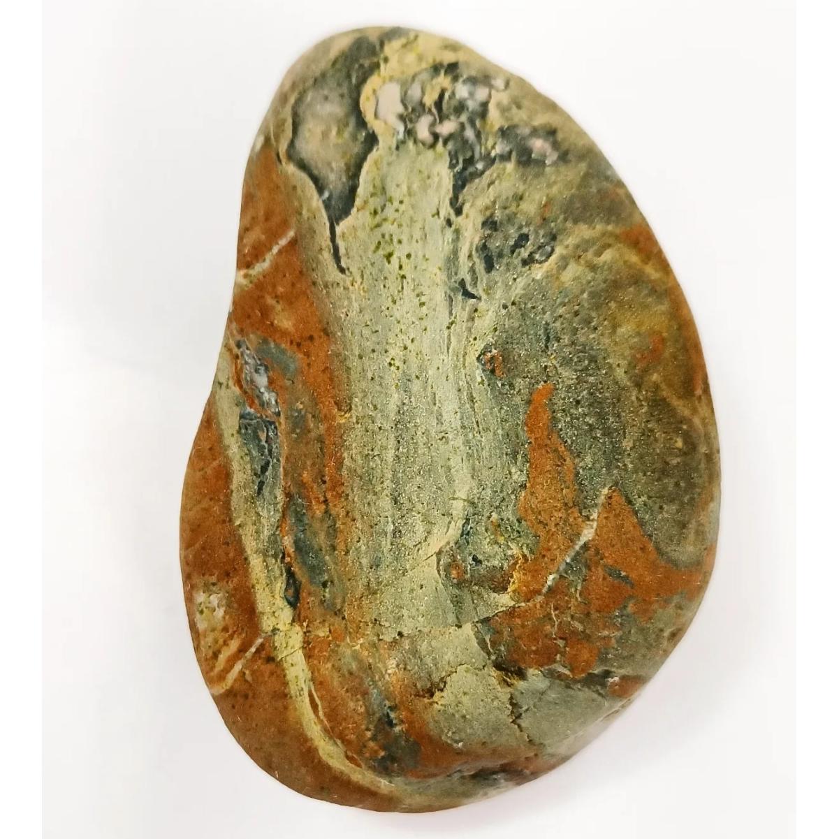 راف جاسپر ترکیبی با رنگ های متفاوت بسیار زیبا