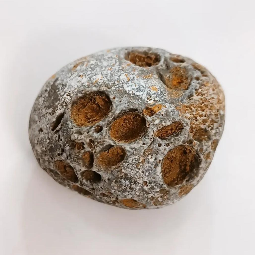 راف بازالت با سوراخ های طبیعی مانند سطح ماه