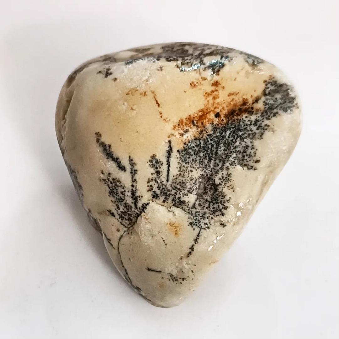 شجر دندریت به شکل منظره پاییزی فوقالعاده زیبا