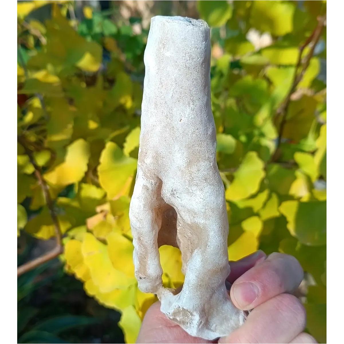 راف آراگونیت معدنی خاص و پاک،بی نظیر