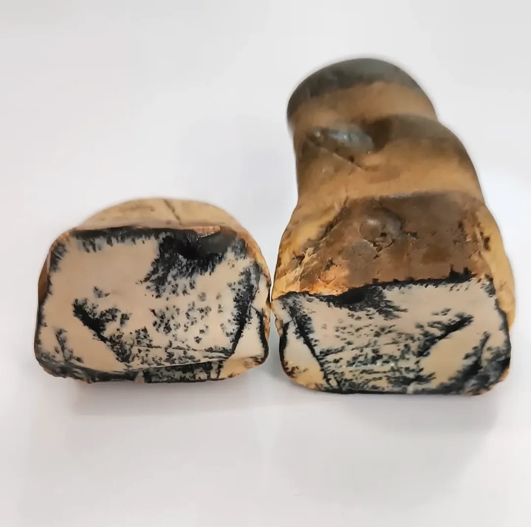 سنگ عقیق ترکیب شده با شجر دندریتی کمیاب