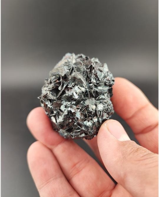 راف طبیعی اولیژیست بی نظیر و کلکسیونی