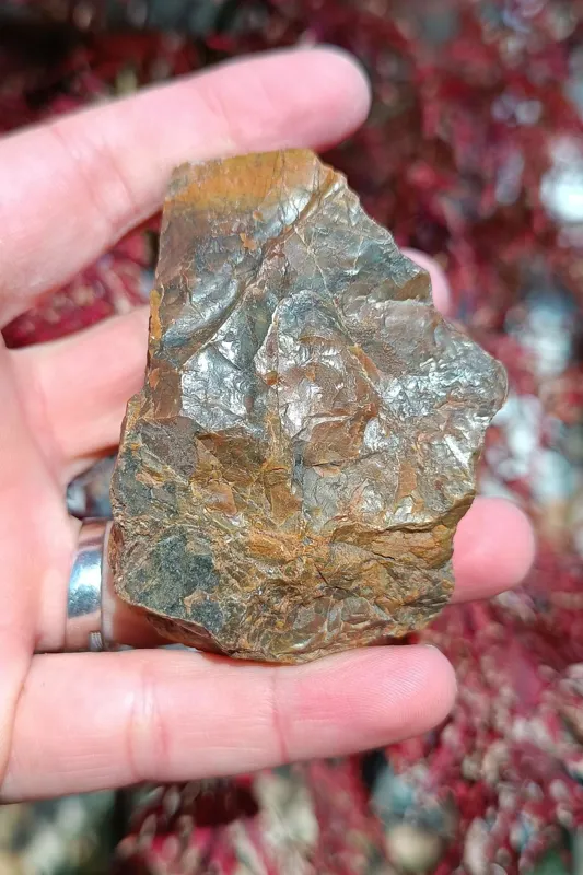 راف جاسپر عسلی بسیار زیبا