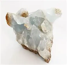 سیلیسین