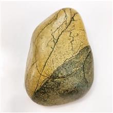 راف