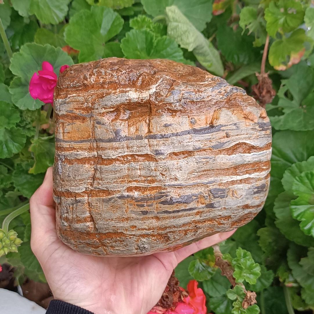 راف صخره ای و فوق العاده زیبا با رنگ های متنوع