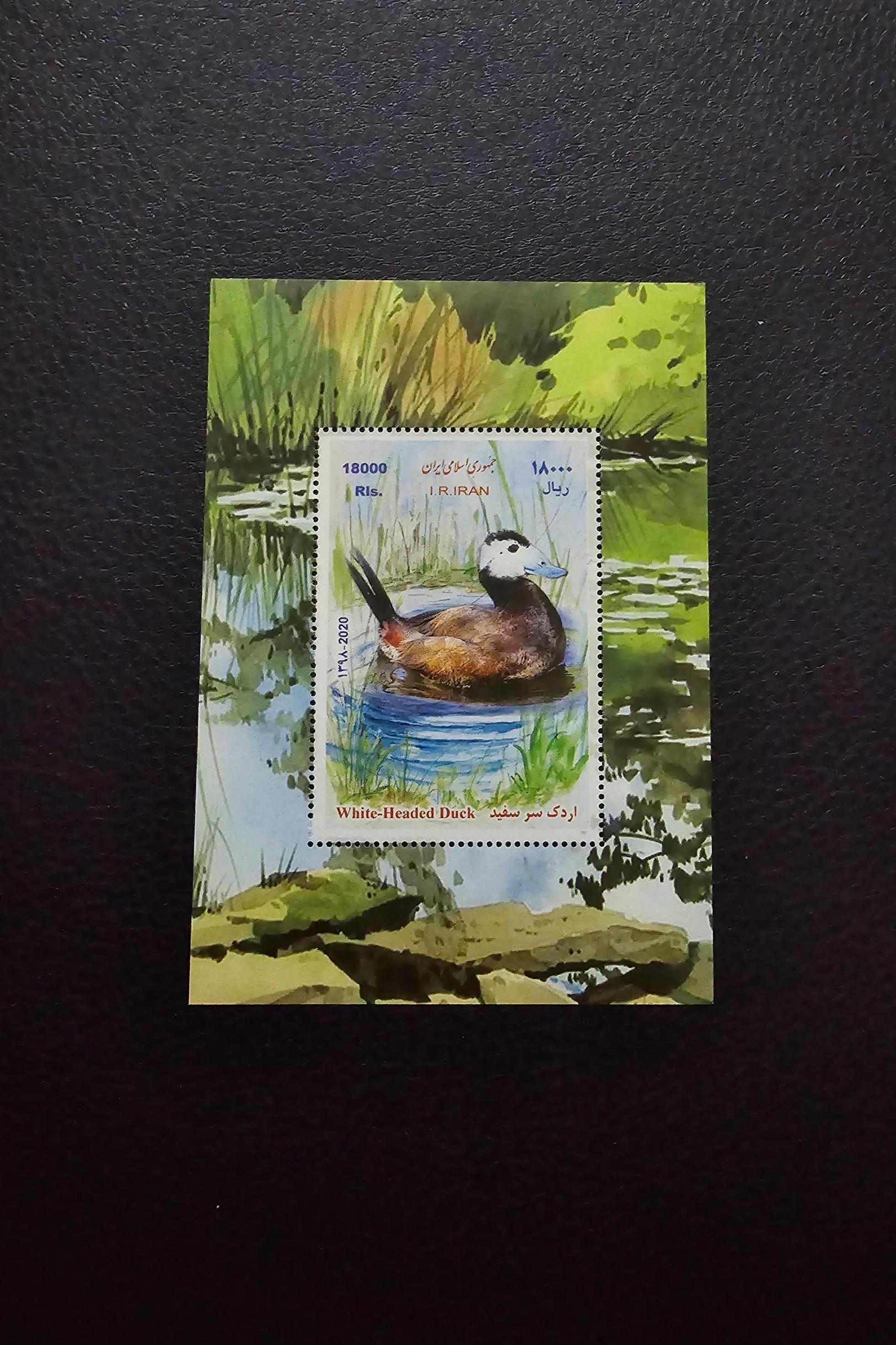 مینی شیت تمبر اردک سر سفید 1398