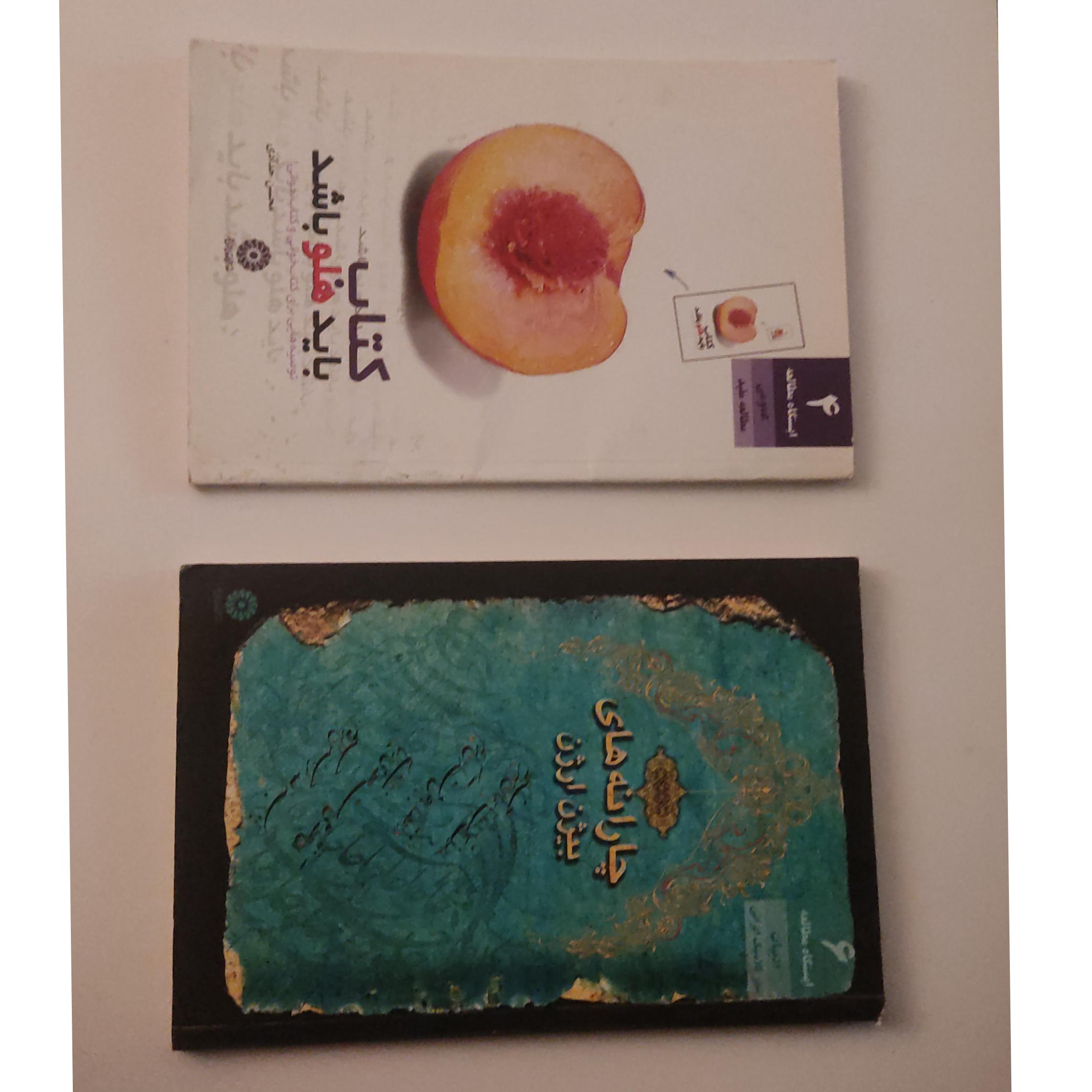 کتاب بایدهلو باشد و چارانه های بیژن ارژن