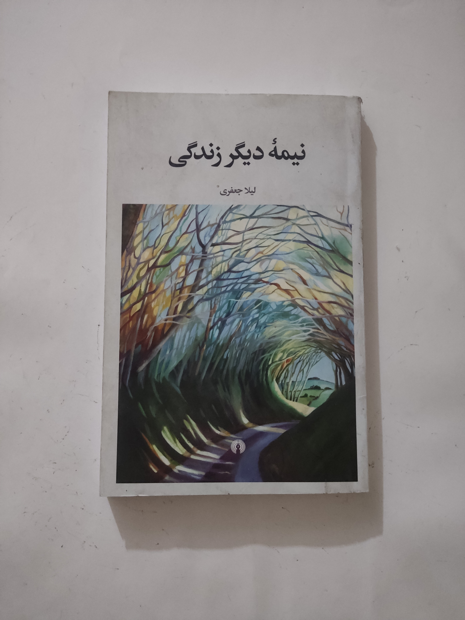 نیمه دیگر زندگی