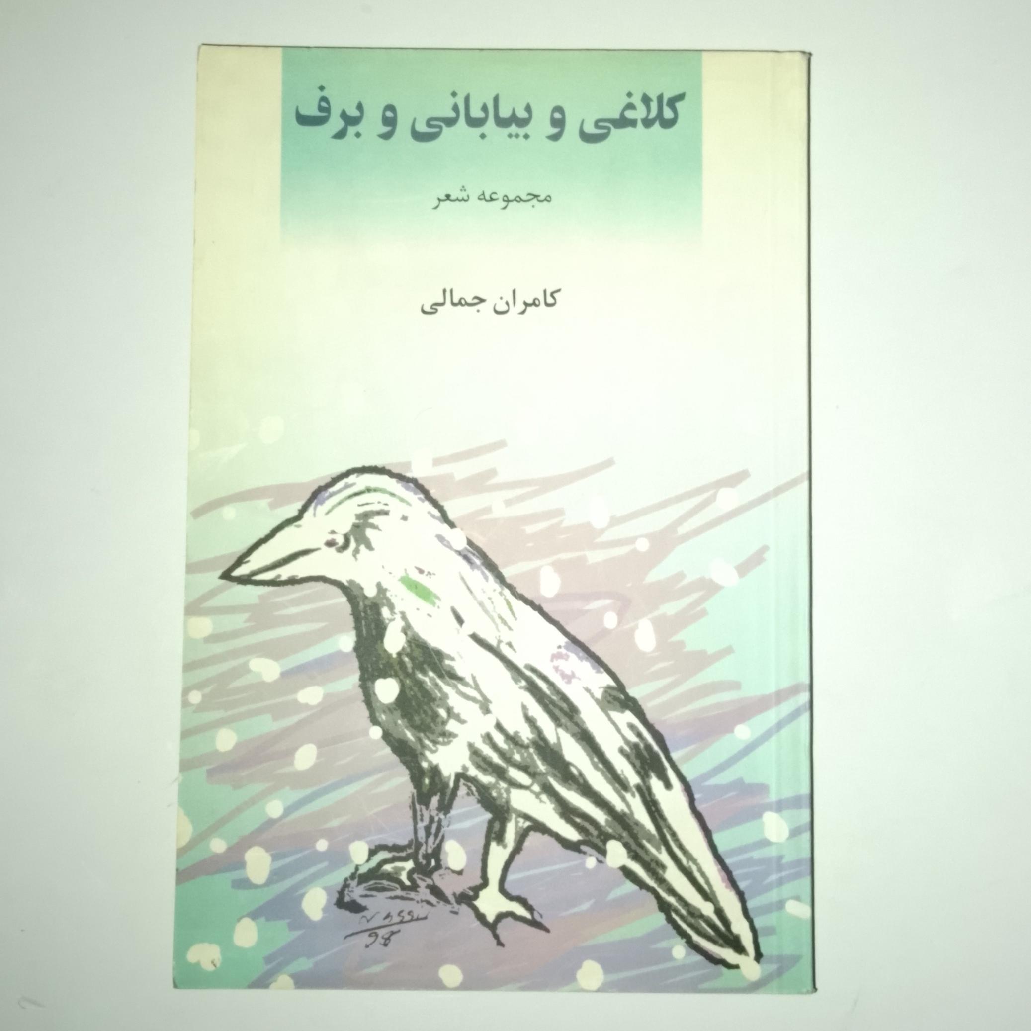 کلاغی و بیابانی و برف