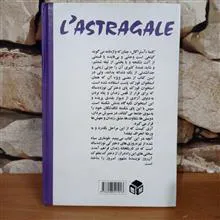 قوزک