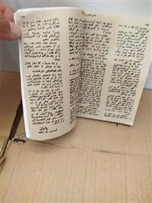نقطه
