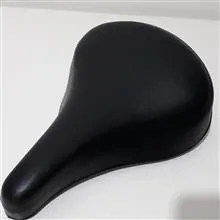 زین