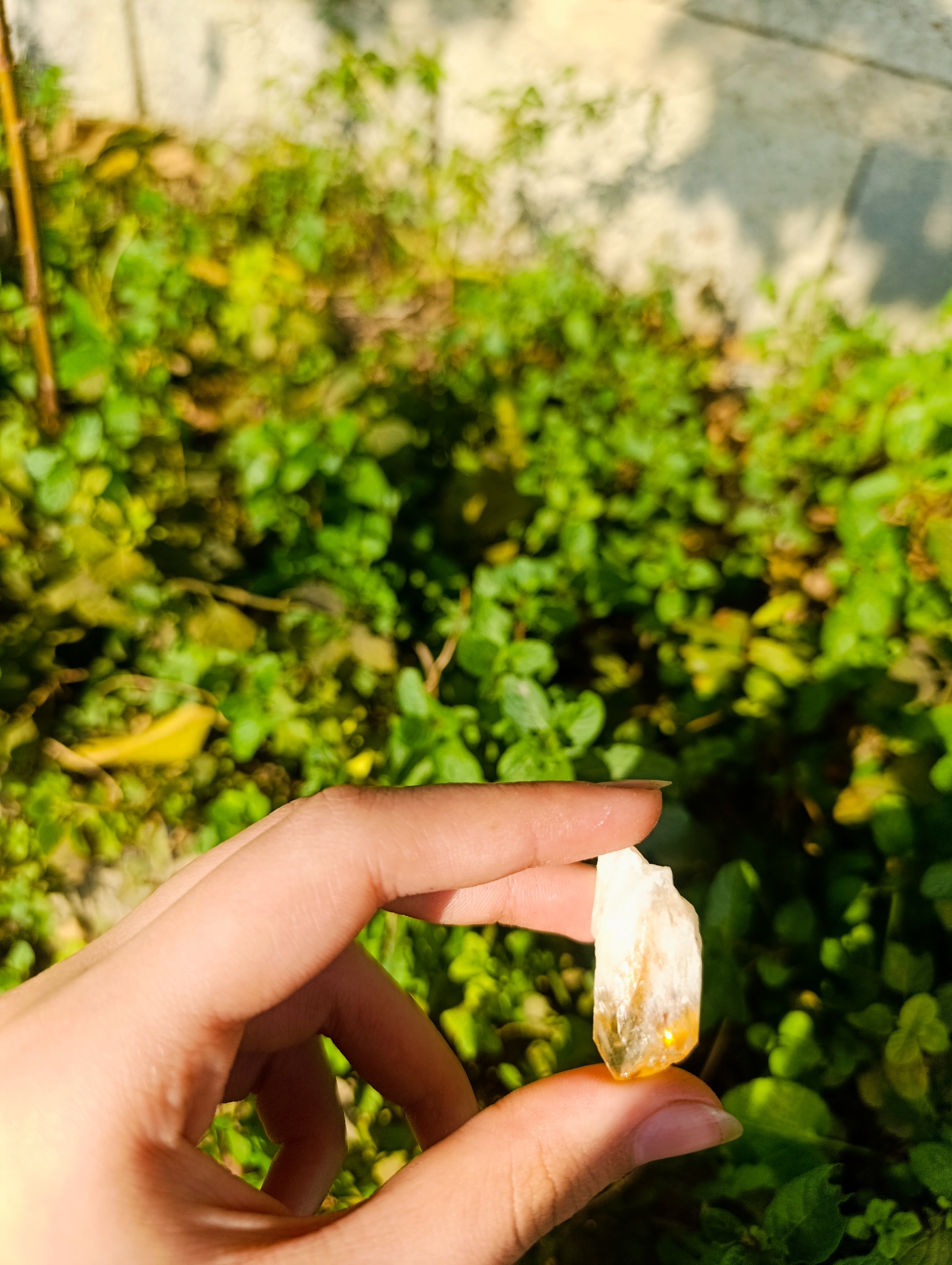 تامبل سنگ راف سیترین خوشه ای اصل معدنی سنگ ثروت