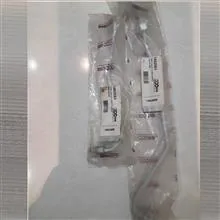 شیلنگ