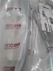 شیلنگ