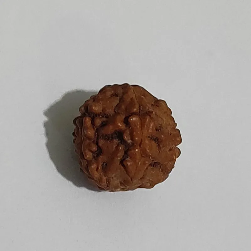 مهره رودراشکا اصل طبیعی